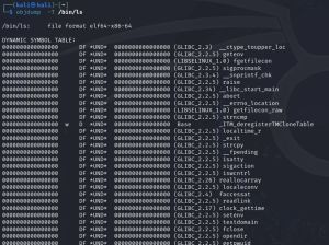 Hijacking di programmi Linux: la Tecnica più utilizzata dai Malware sfrutta LD_PRELOAD